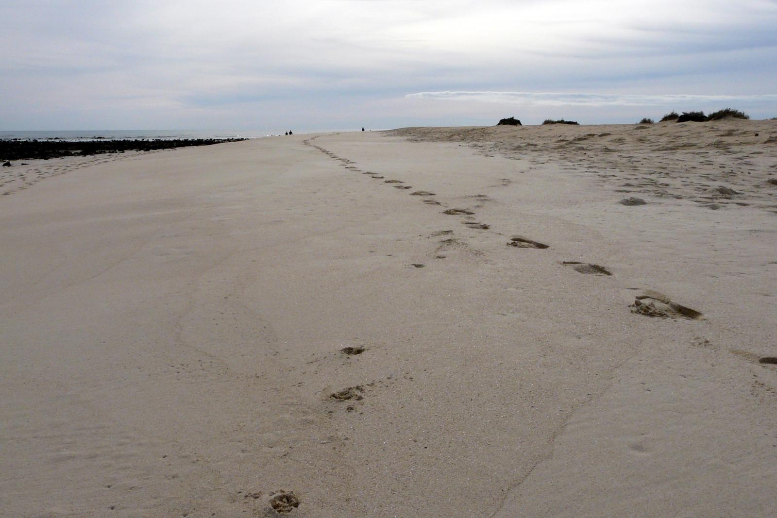 Playa dentro del sistema dunar