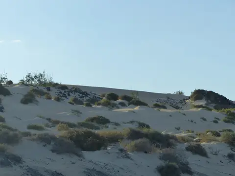 Dunas de Corralejo, parque natural de dunas en Fuerteventura