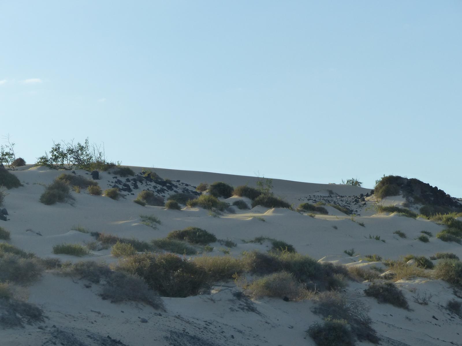 Atardecer en las Dunas de Corralejo
