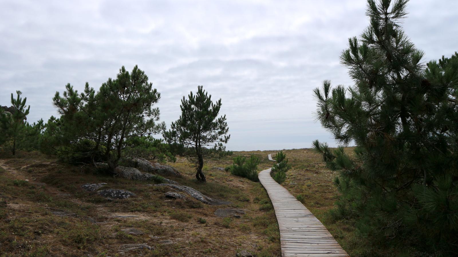 Pasarela de madera del Parque Natural de Corrubedo
