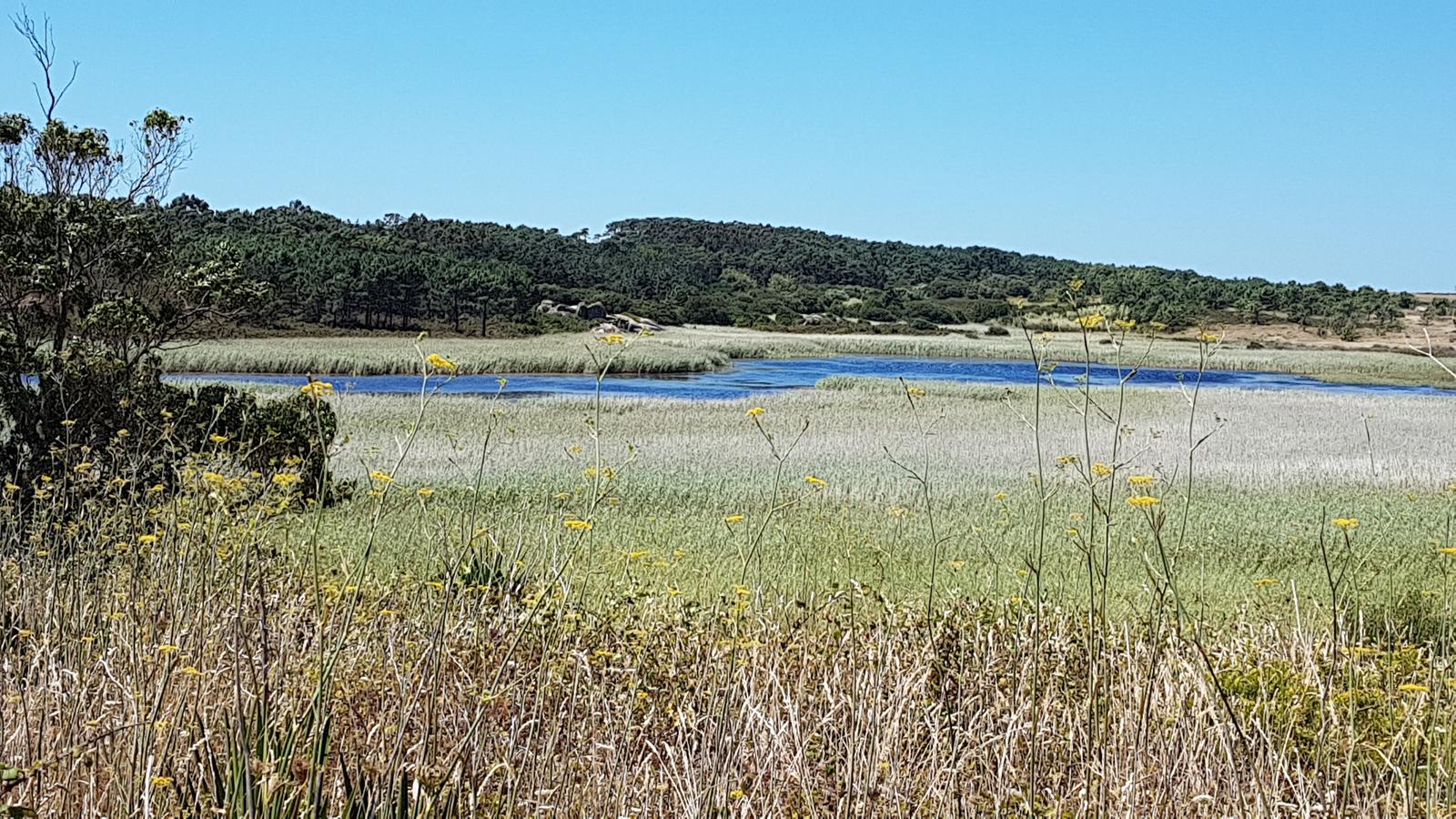 Lagoa de Vixán, de agua dulce