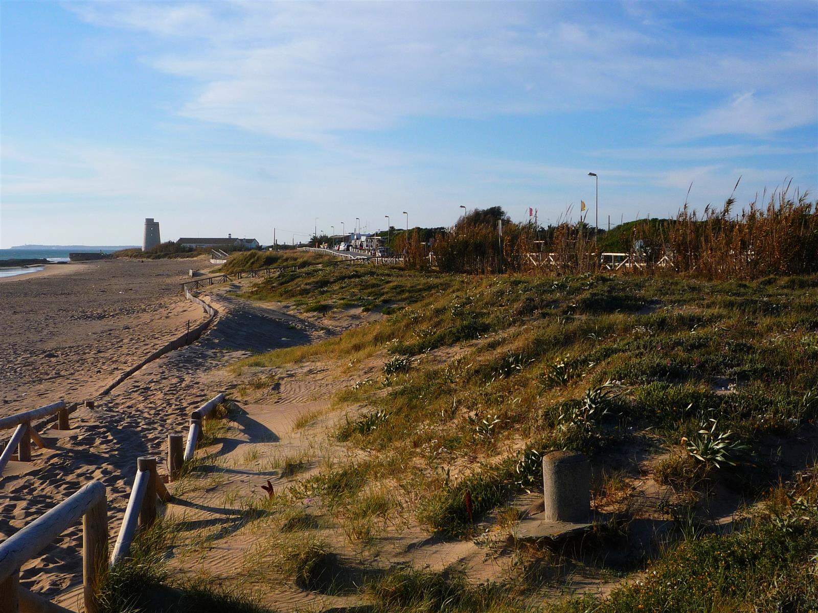 Vista de la playa de El Palmar con arena dorada fina y el Atlántico de fondo, Vejer de la Frontera, Cádiz
