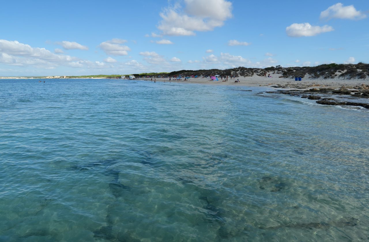 Playa de Es Trenc con Sa Rápita al fondo, vista panorámica del litoral sur de Mallorca