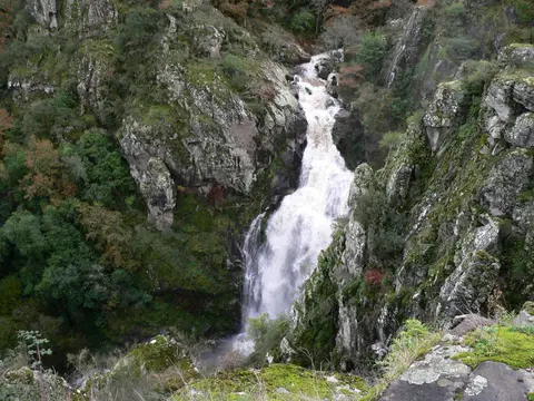 Fervenza do Toxa, cascada en el río Toxa entre sauces y helechos, Silleda, Pontevedra, Galicia