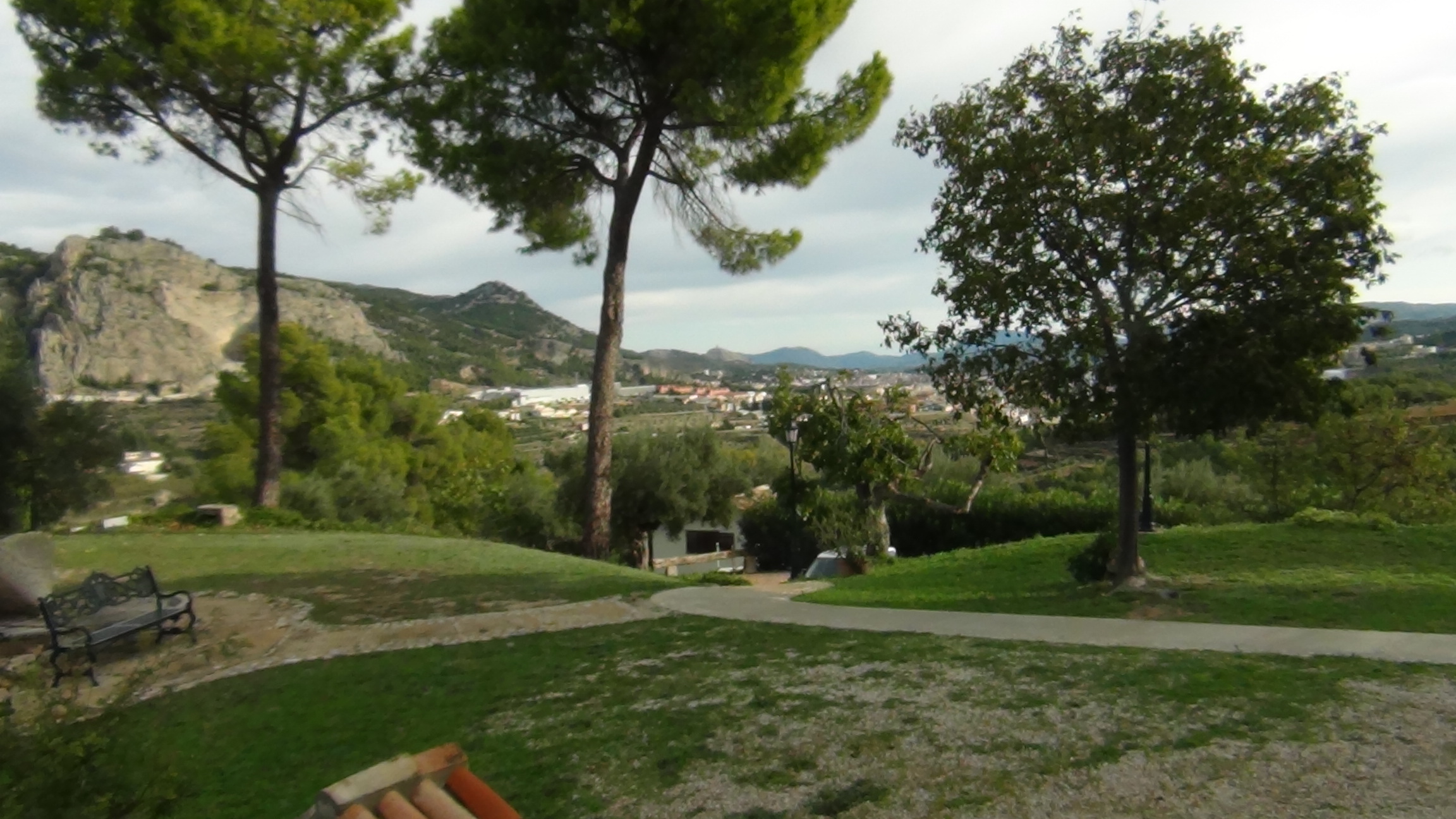 Bosque caducifolio del Parque Natural de la Font Roja en Alcoi, Alicante