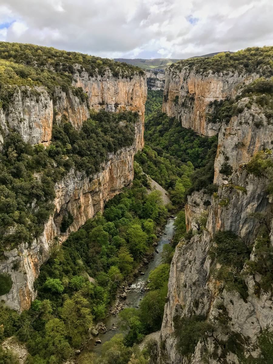 Vista desde el interior del cañón de la Foz de Arbayún, con el río Salazar y las paredes de roca, Navarra