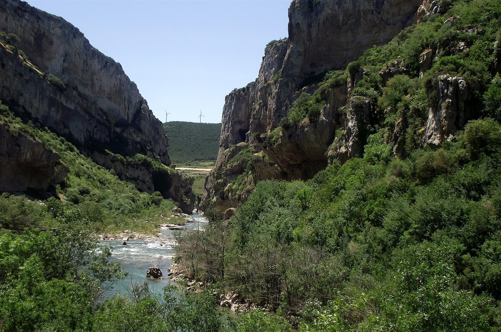 Vista general del cañón con el río y la vegetación de ribera