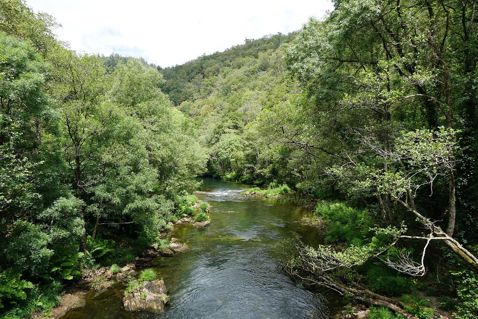 Valle boscoso del río Eume, bosque atlántico en el Parque Natural das Fragas do Eume