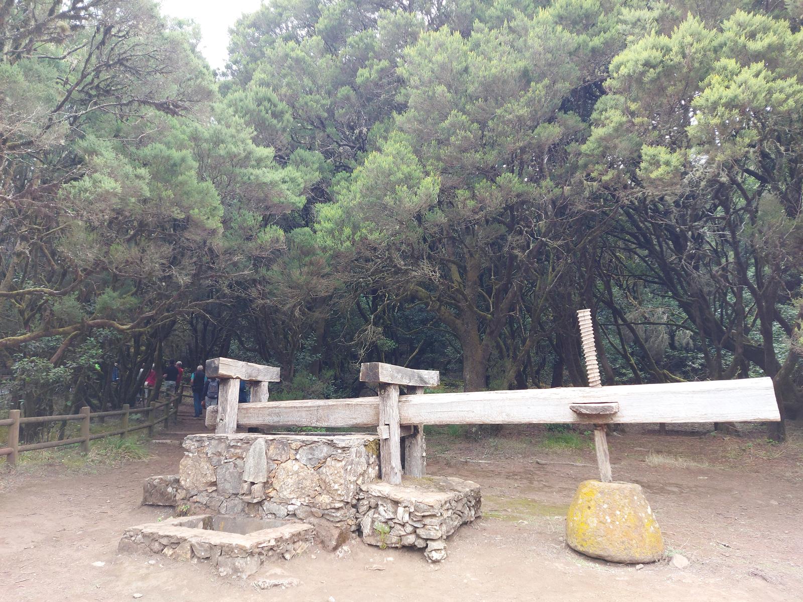 Fogones y merendero del área recreativa de Laguna Grande