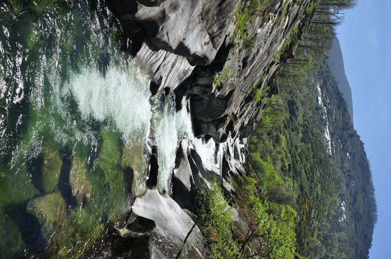 Barranco y vegetación autóctona en la Reserva Natural Garganta de los Infiernos, Jerte