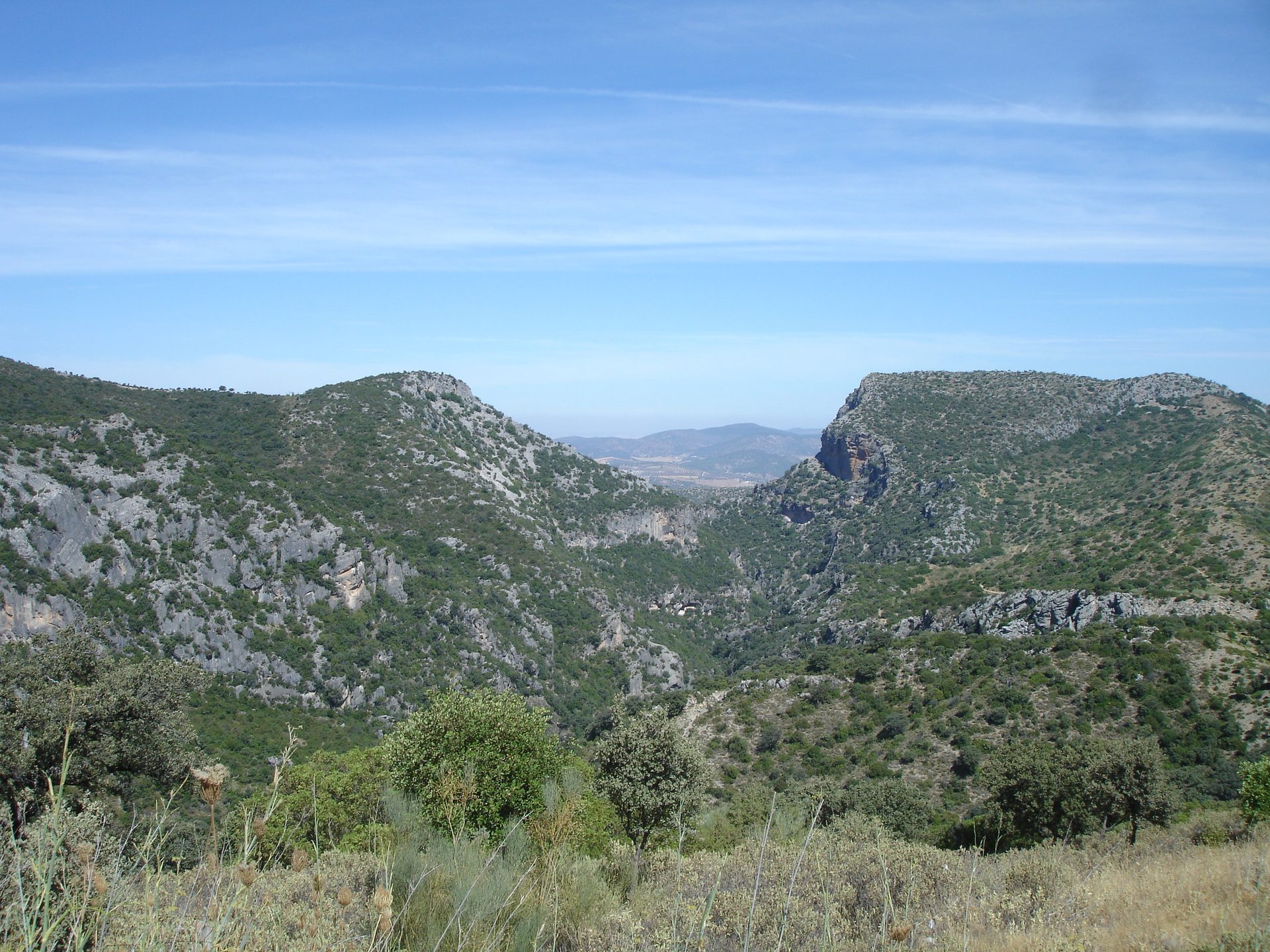 Sendero de bajada a la Garganta Verde, Parque Natural de Grazalema
