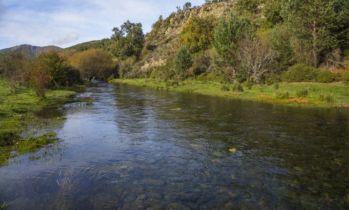 Vista amplia del Hayedo de la Tejera Negra en otoño, Cantalojas, Guadalajara