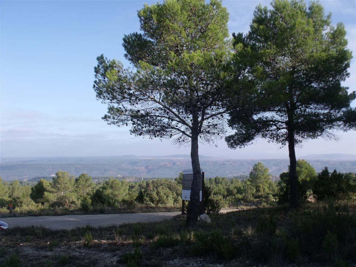 Paisaje general del Parque Natural de las Hoces del Cabriel, interior de Valencia