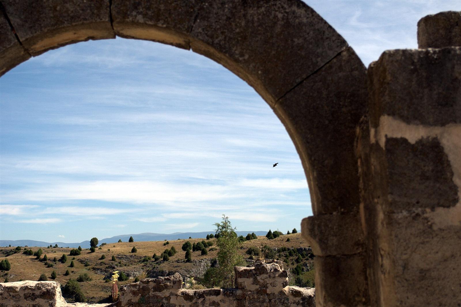 Un buitre leonado sobrevolando las ruinas del priorato, visto a través de un arco