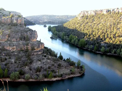 Hoces del Río Duratón, cañón con buitres leonados en el Parque Natural de las Hoces del Duratón, Segovia