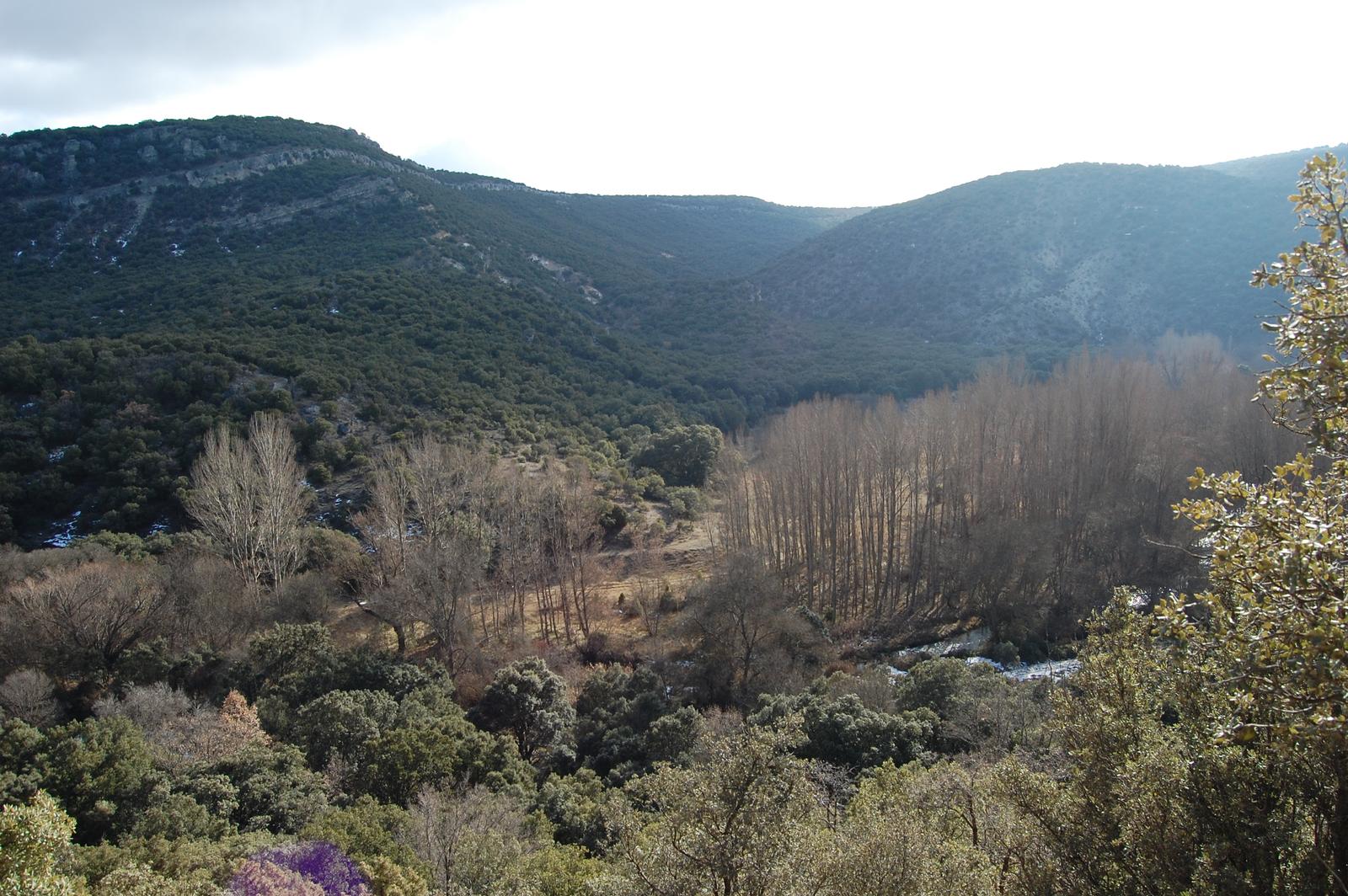 Vista del barranco desde el sendero