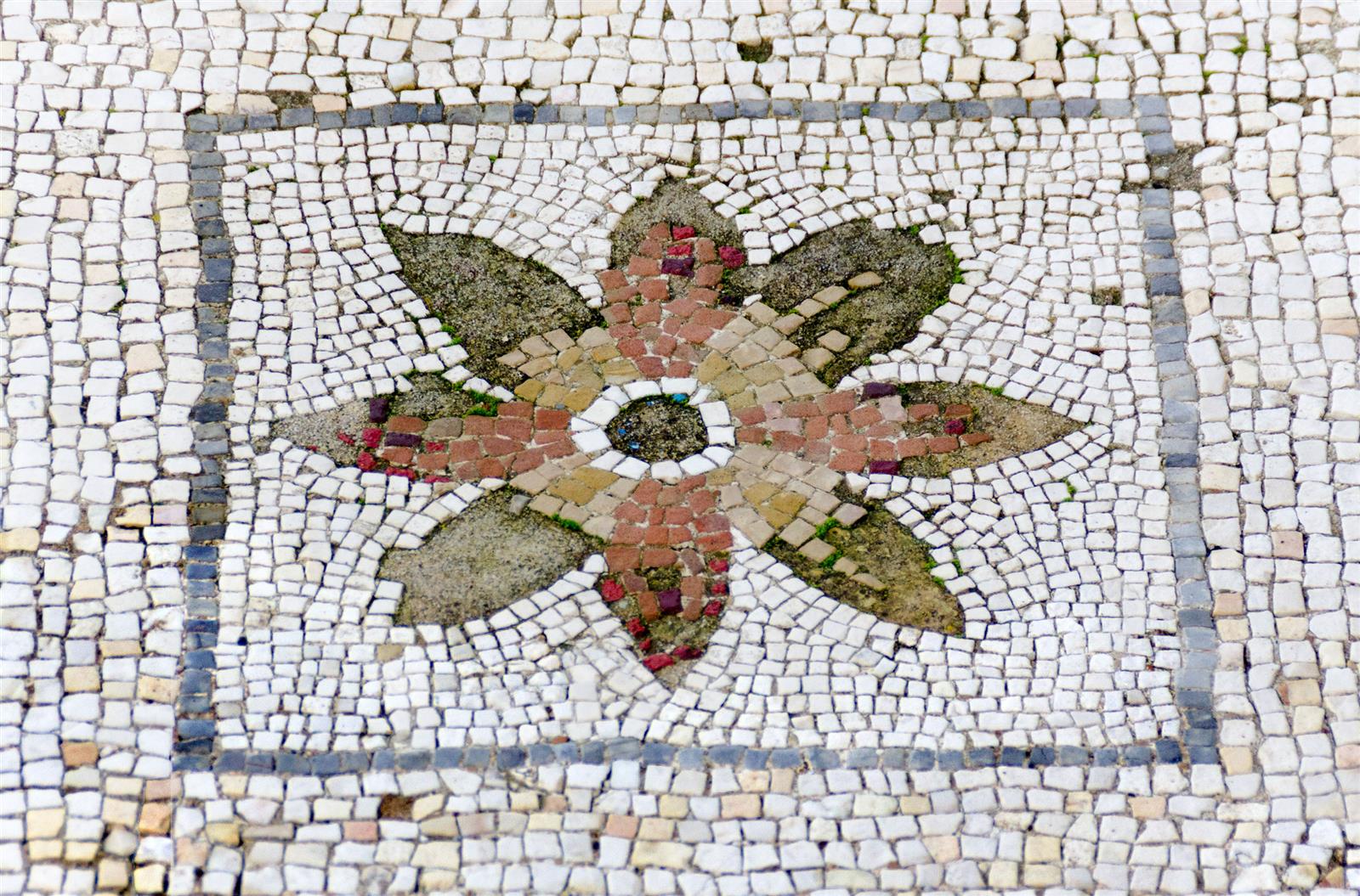 Detalle de mosaico floral en las domus del Conjunto Arqueológico de Itálica, Santiponce