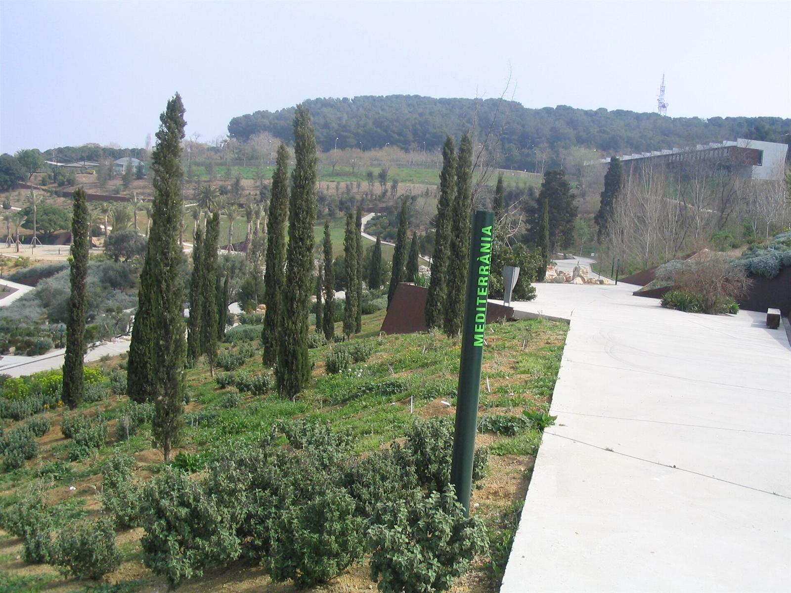 Sector mediterráneo del jardín, con cipreses y cartel identificativo