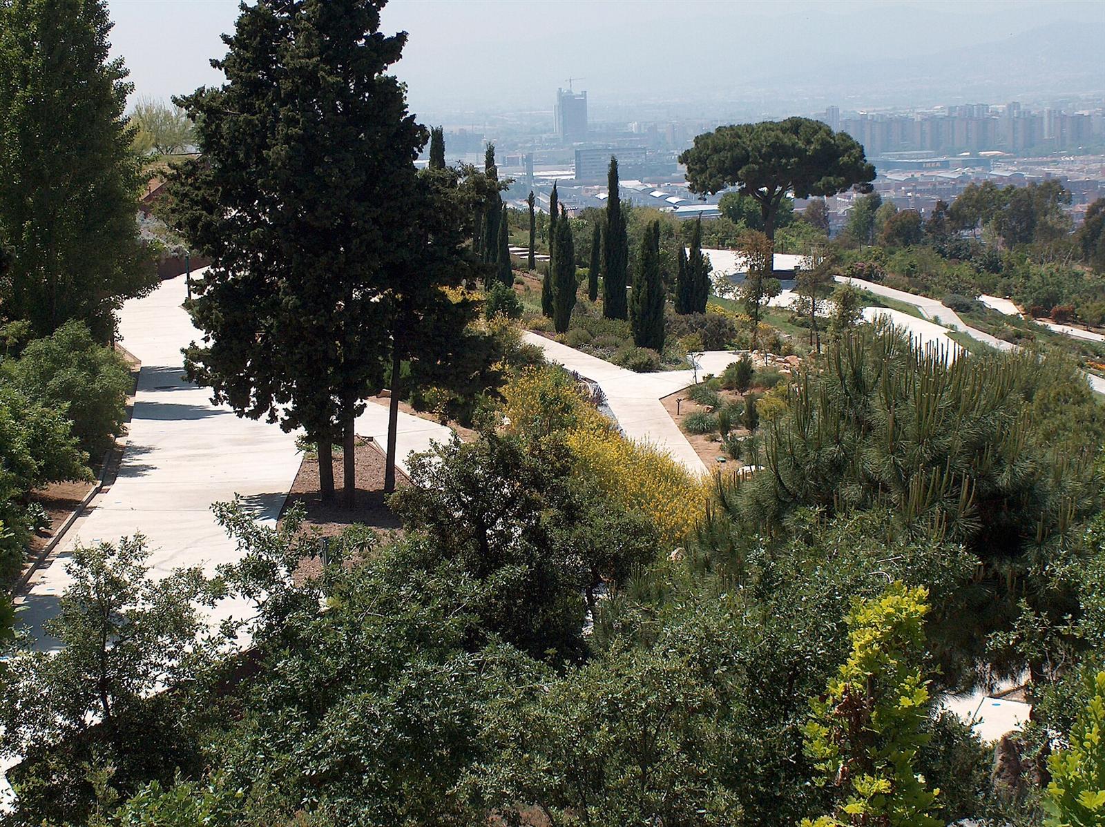 Sendero entre cactus y coníferas con vistas al llano de Barcelona