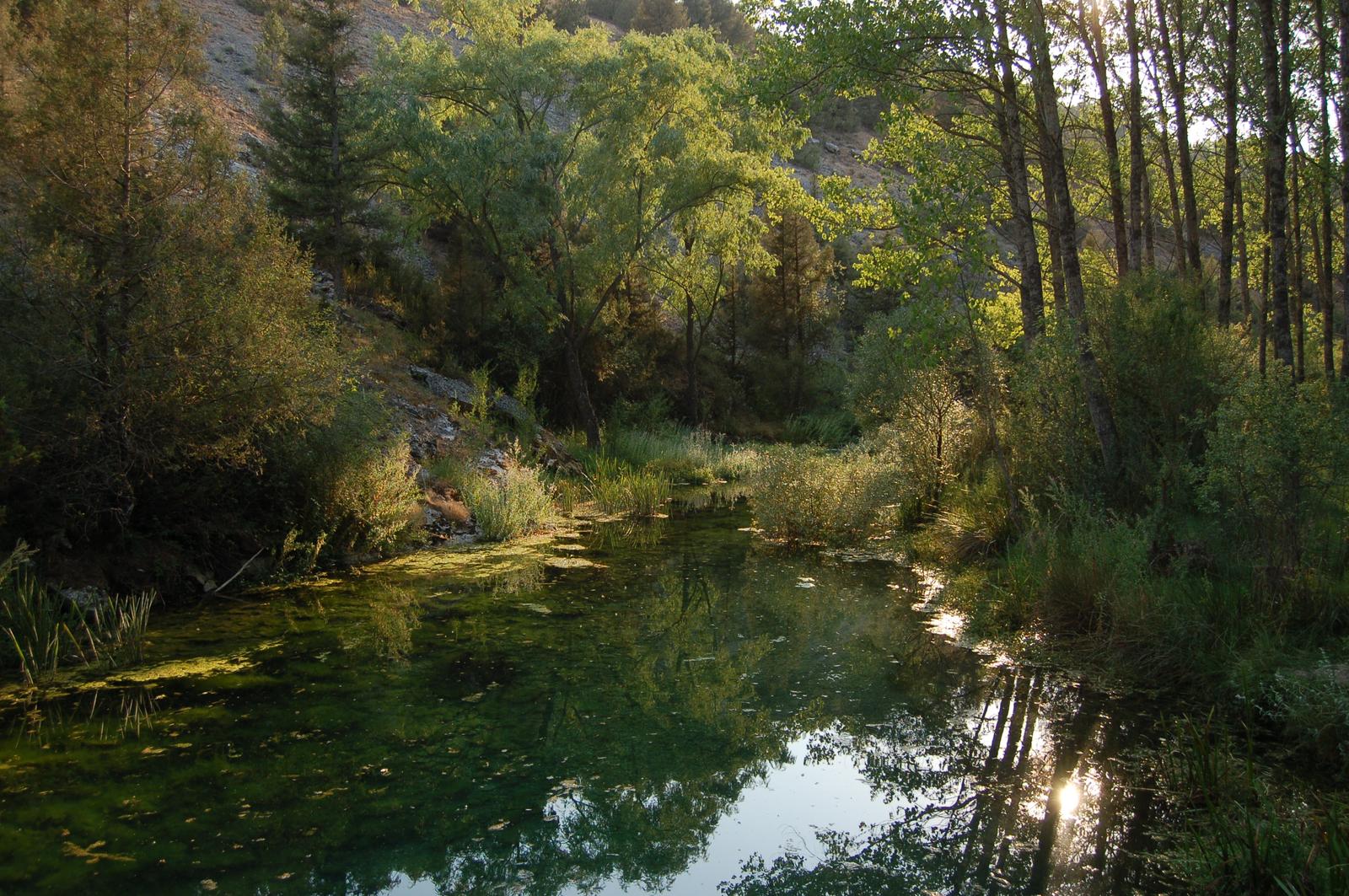 Río Abión aguas abajo de la surgencia