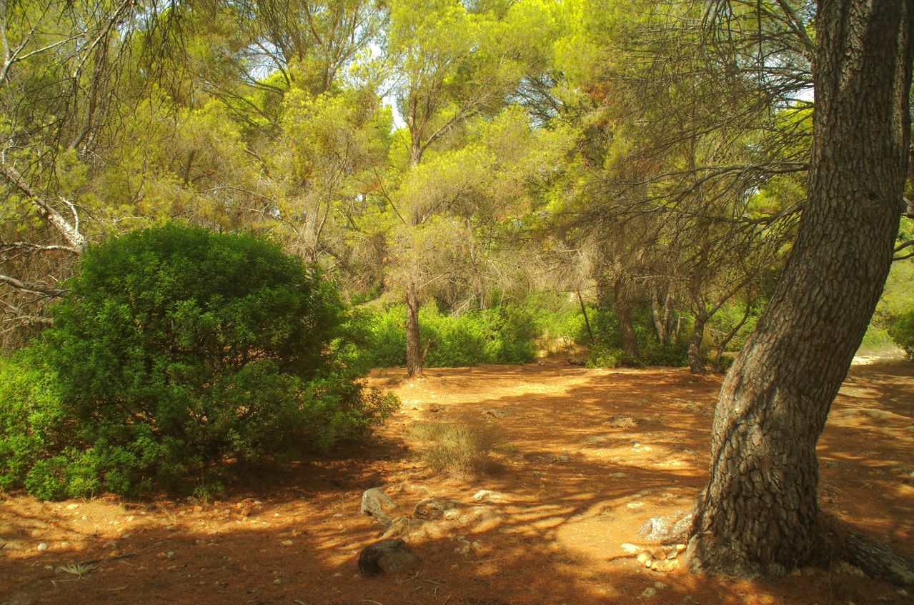 Cala de La Renegà con aguas transparentes entre acantilados