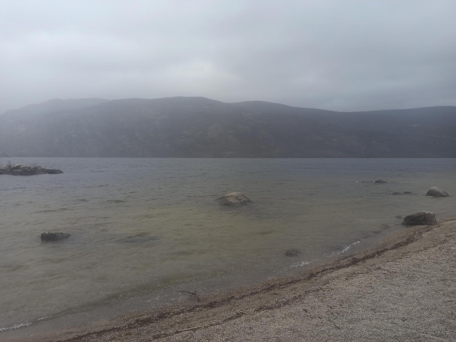Orilla del lago con niebla