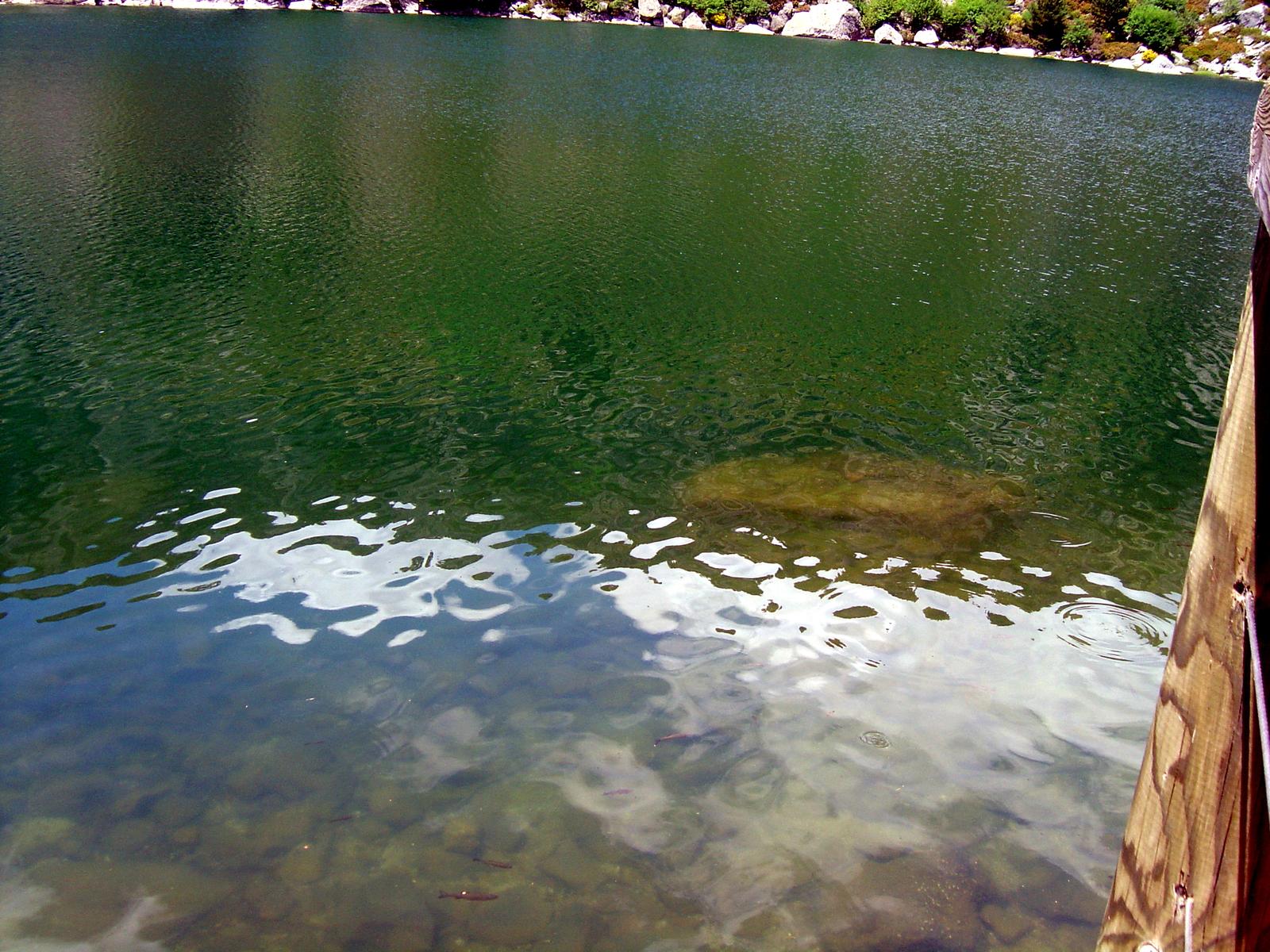 Aguas transparentes de la laguna vistas desde el embarcadero