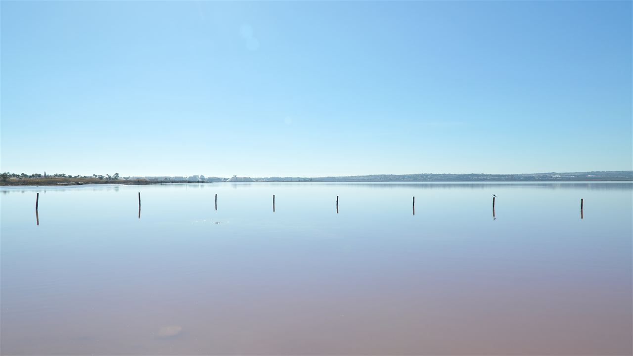 Aguas de la Laguna de Torrevieja con el color rosado característico