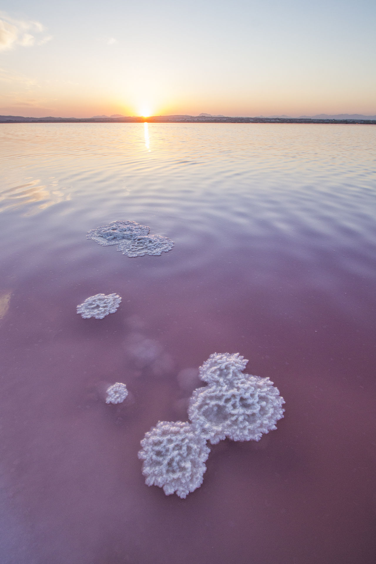 Formaciones salinas sobre el agua rosa al atardecer, Laguna de Torrevieja