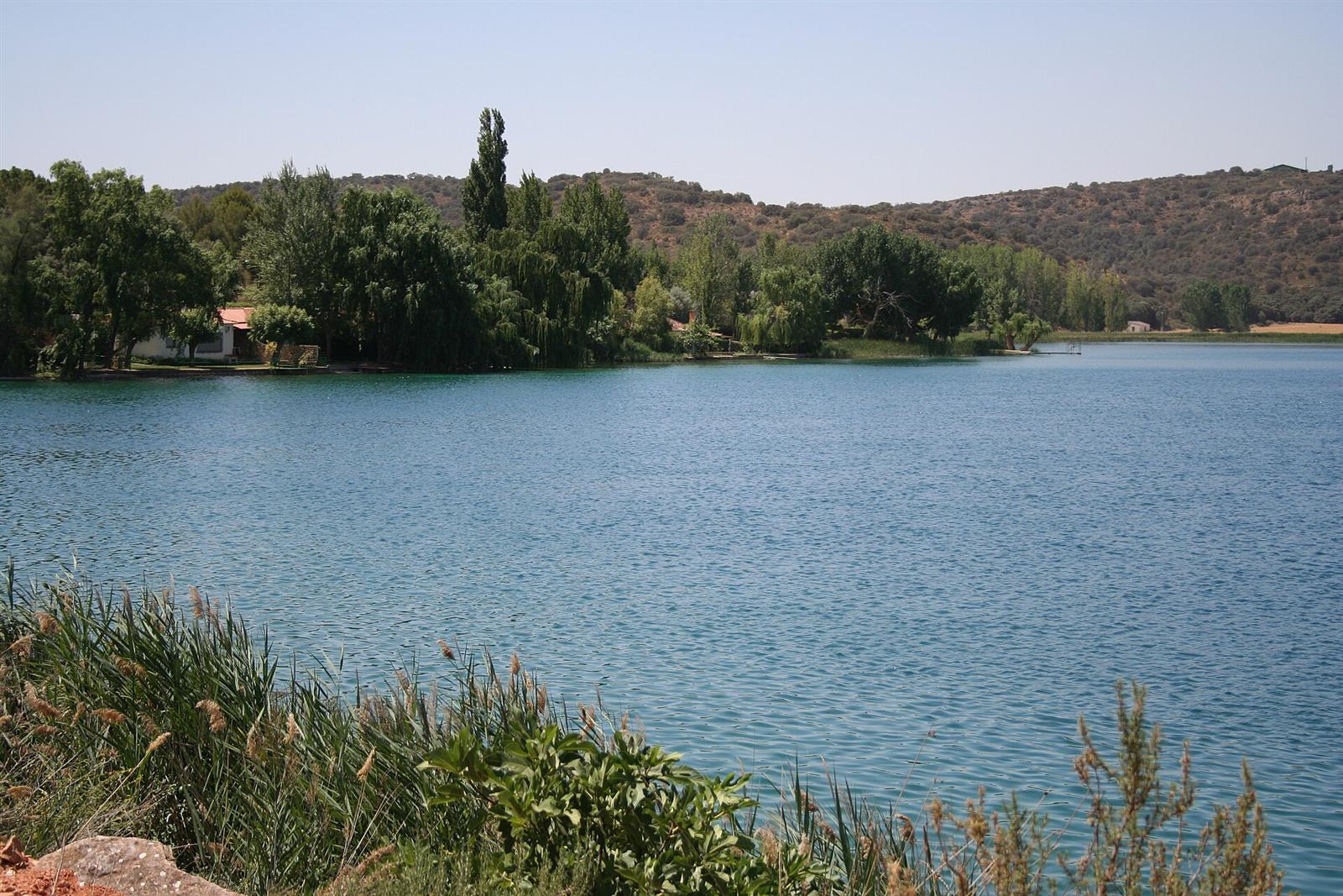 Vista general de una de las lagunas rodeada de pinar