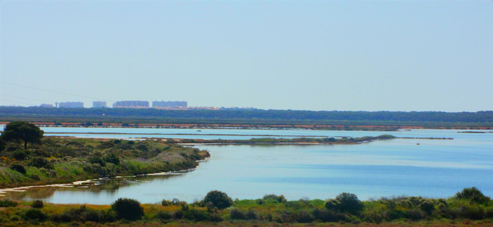 Vista general de las Marismas del Odiel, Paraje Natural y Reserva de la Biosfera, Huelva