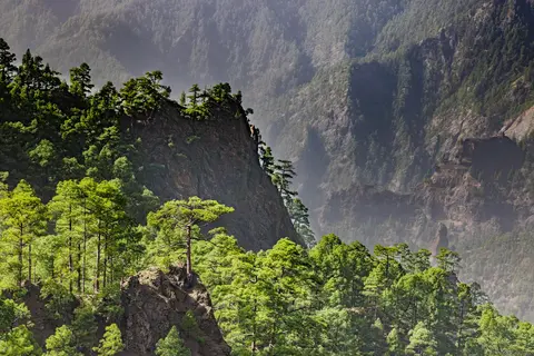 Miradores de La Cumbrecita en el Parque Nacional Caldera de Taburiente, La Palma