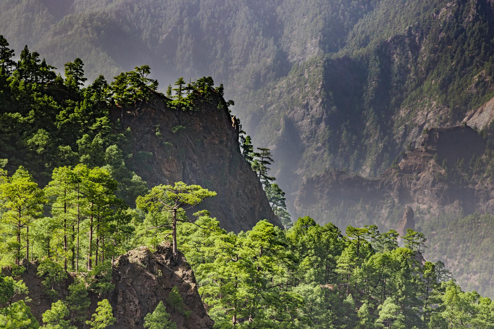 Vista de la Caldera de Taburiente desde La Cumbrecita