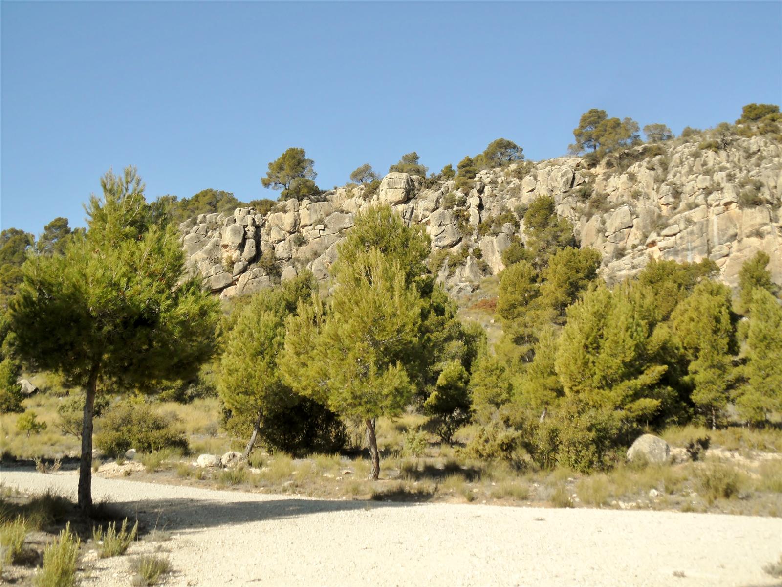 Bloques de arenisca entre pinos junto al sendero del Monte Arabí