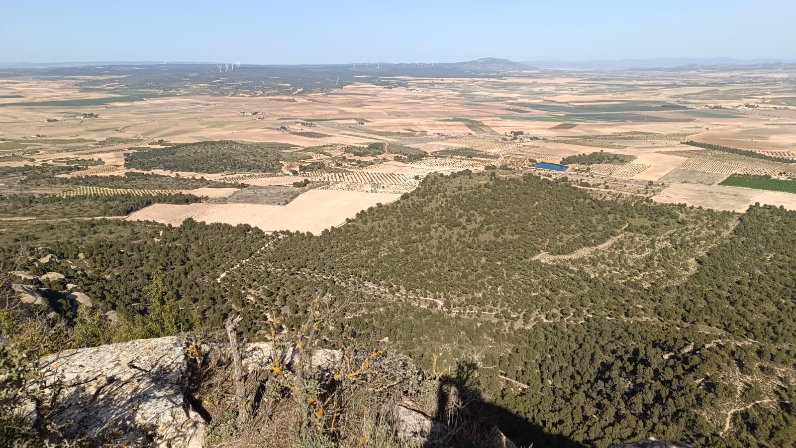 Panorámica del altiplano de Yecla desde la cima del Monte Arabí