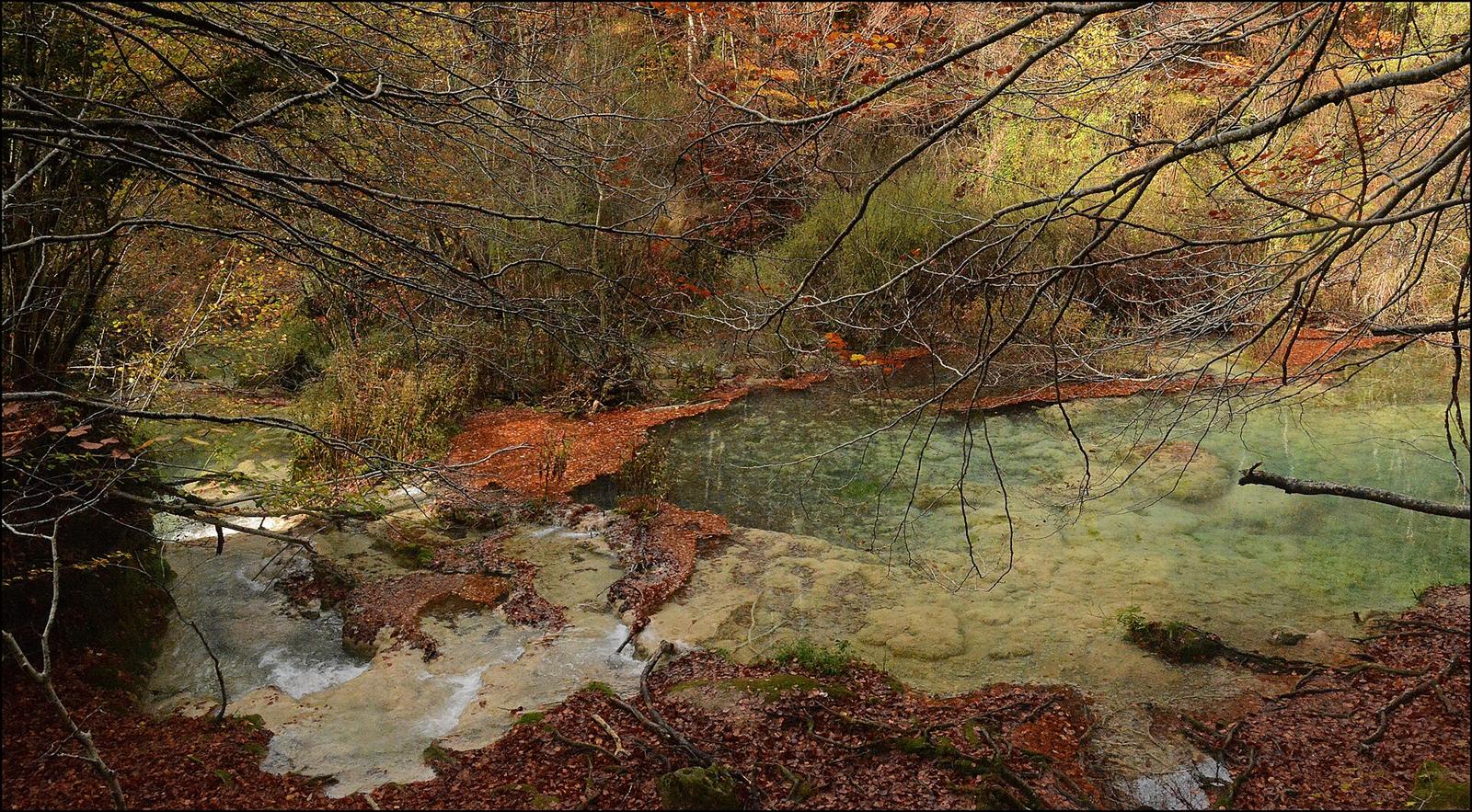 Remanso de aguas verdiazuladas entre el bosque otoñal