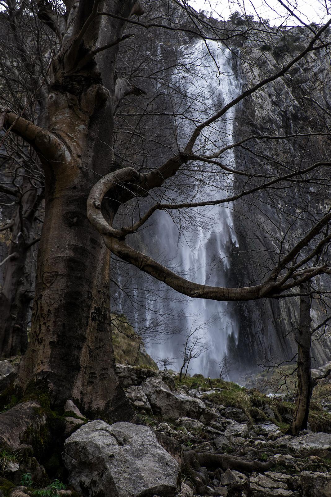 La cascada del nacimiento en invierno, entre el bosque de ribera