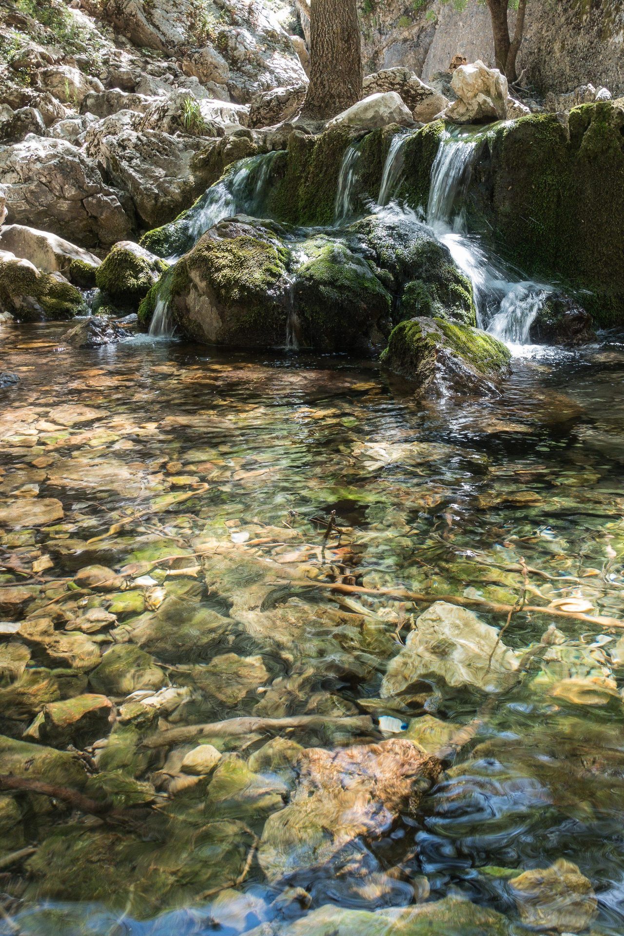 Vista del nacimiento del Guadalquivir desde otro ángulo, Parque Natural de Cazorla
