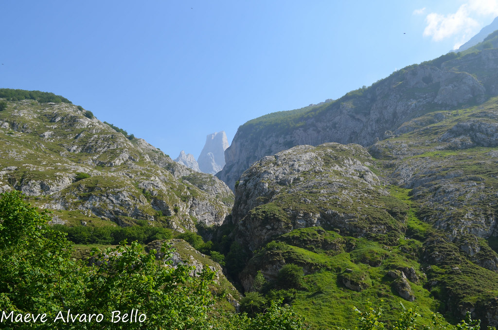 Vista del Picu Urriellu / Naranjo de Bulnes desde el pueblo de Bulnes, con la pared caliza dominando el paisaje de Cabrales, Asturias