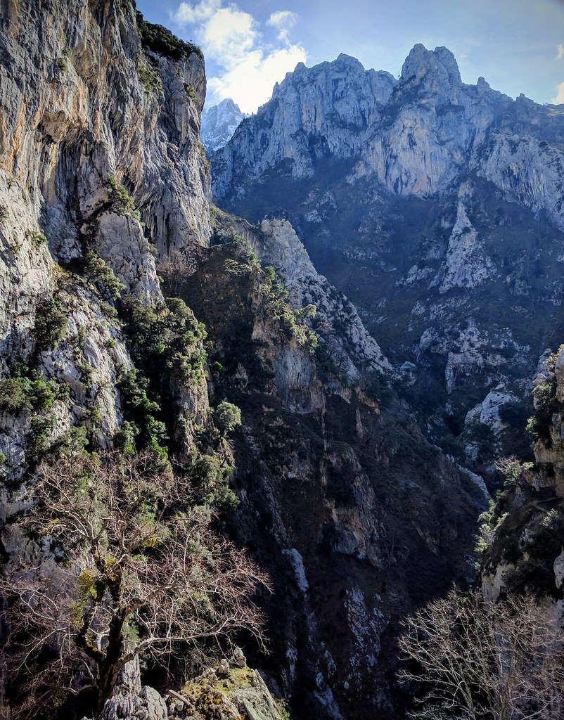 Ruta del Cares mirando hacia el Picu Urriellu, con las paredes calizas del desfiladero y los Picos de Europa de fondo, Asturias