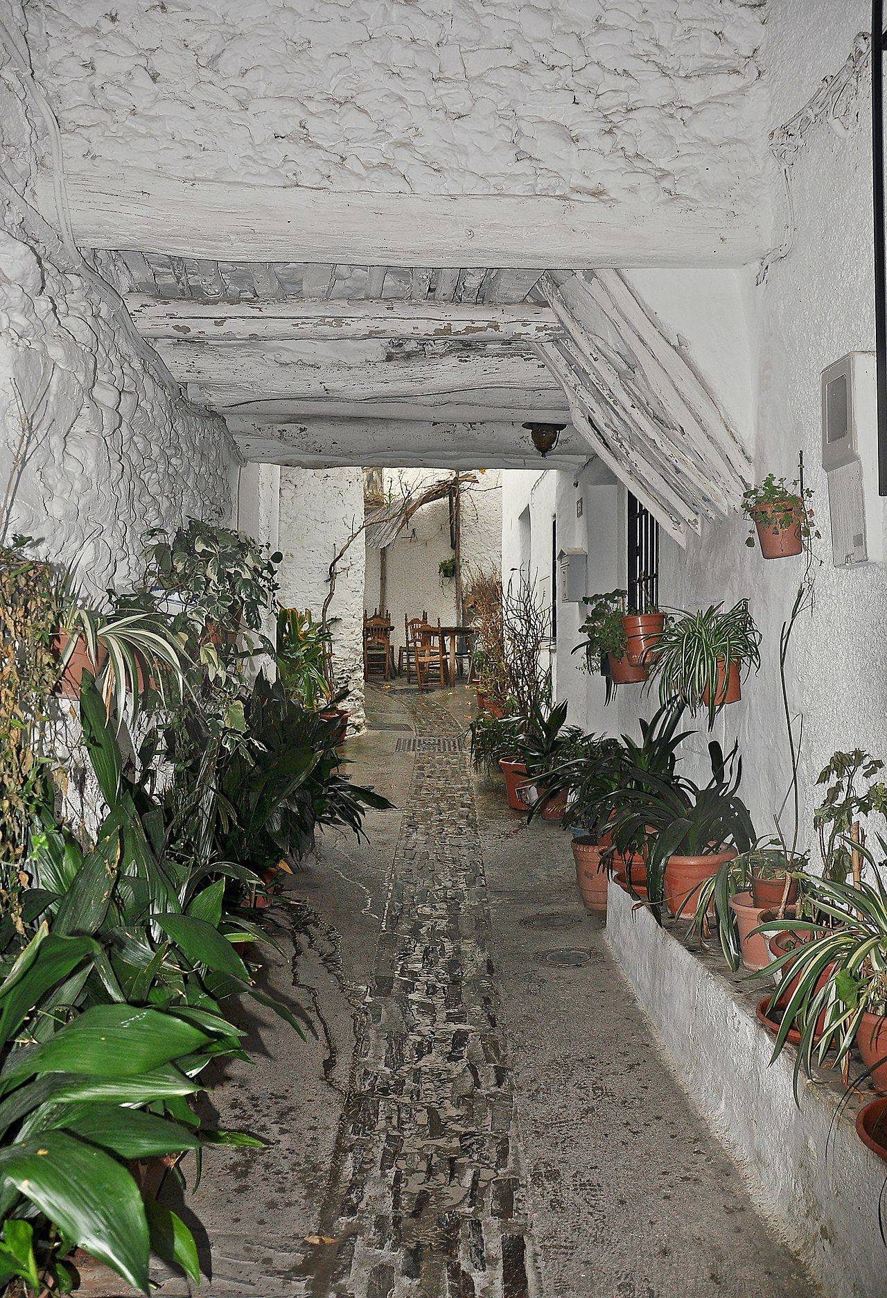 Casas blancas de Pampaneira con tejados de launa, Las Alpujarras
