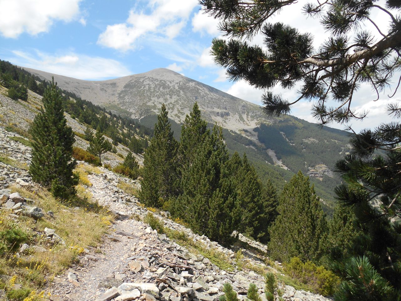 Sendero del GR 90 en el Parque Natural del Moncayo, entre rocas y vegetación de montaña, Zaragoza, Aragón