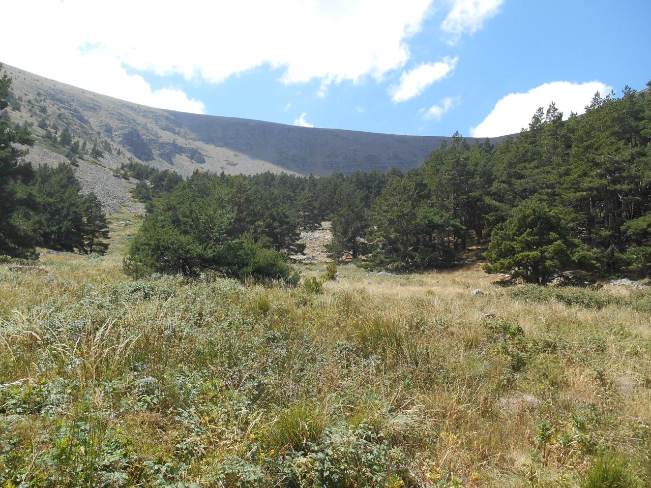 Circo de Morca, valle glaciar en la vertiente sur del Parque Natural del Moncayo, Zaragoza, Aragón