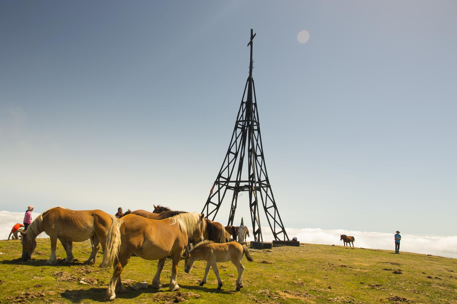 Cruz del Gorbea con caballos salvajes pastando en los prados de la cumbre del Monte Gorbeia, País Vasco