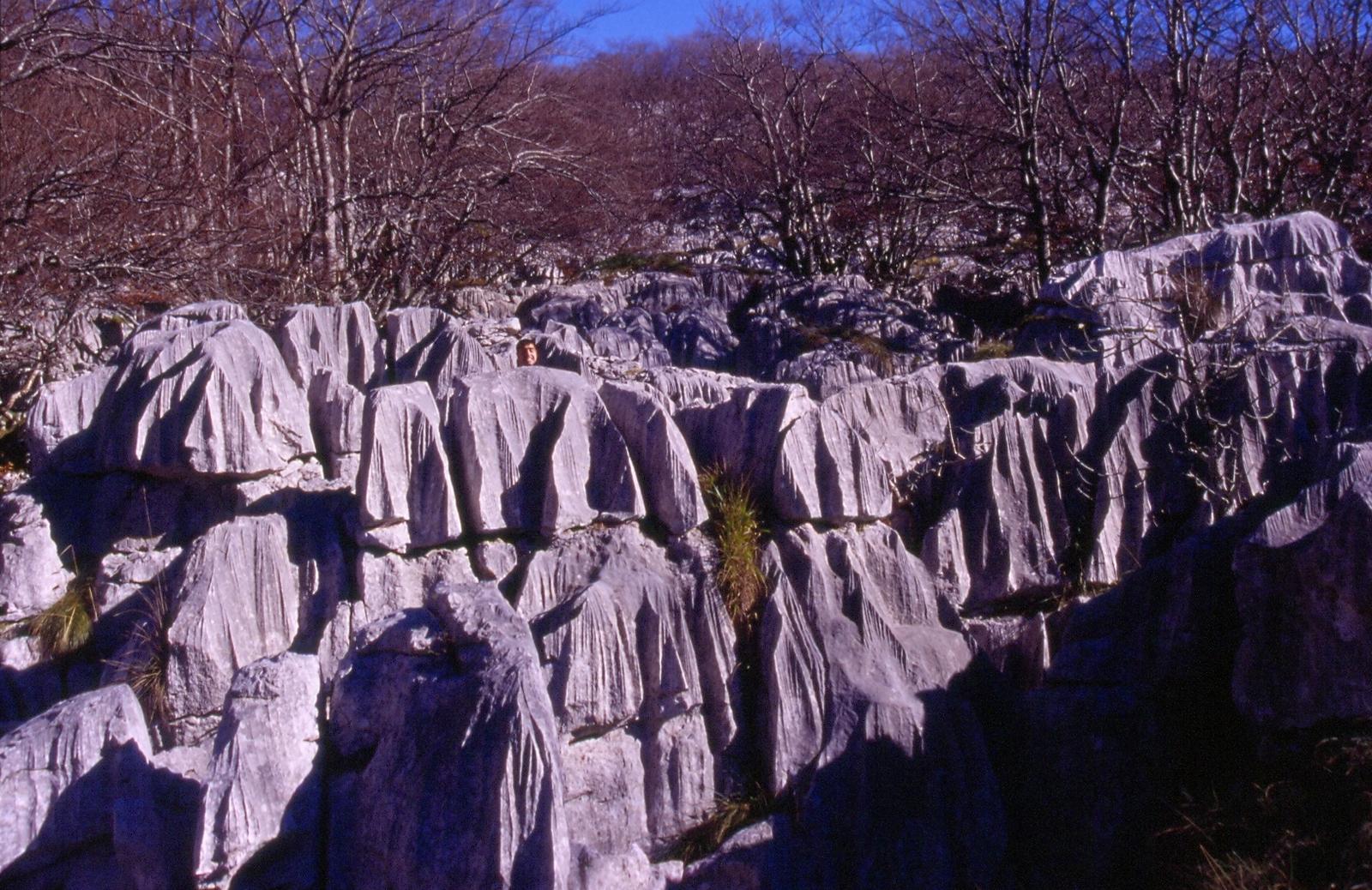 Vista del macizo del Gorbeia con el lapiaz kárstico de Itxina y el hayedo en primer plano