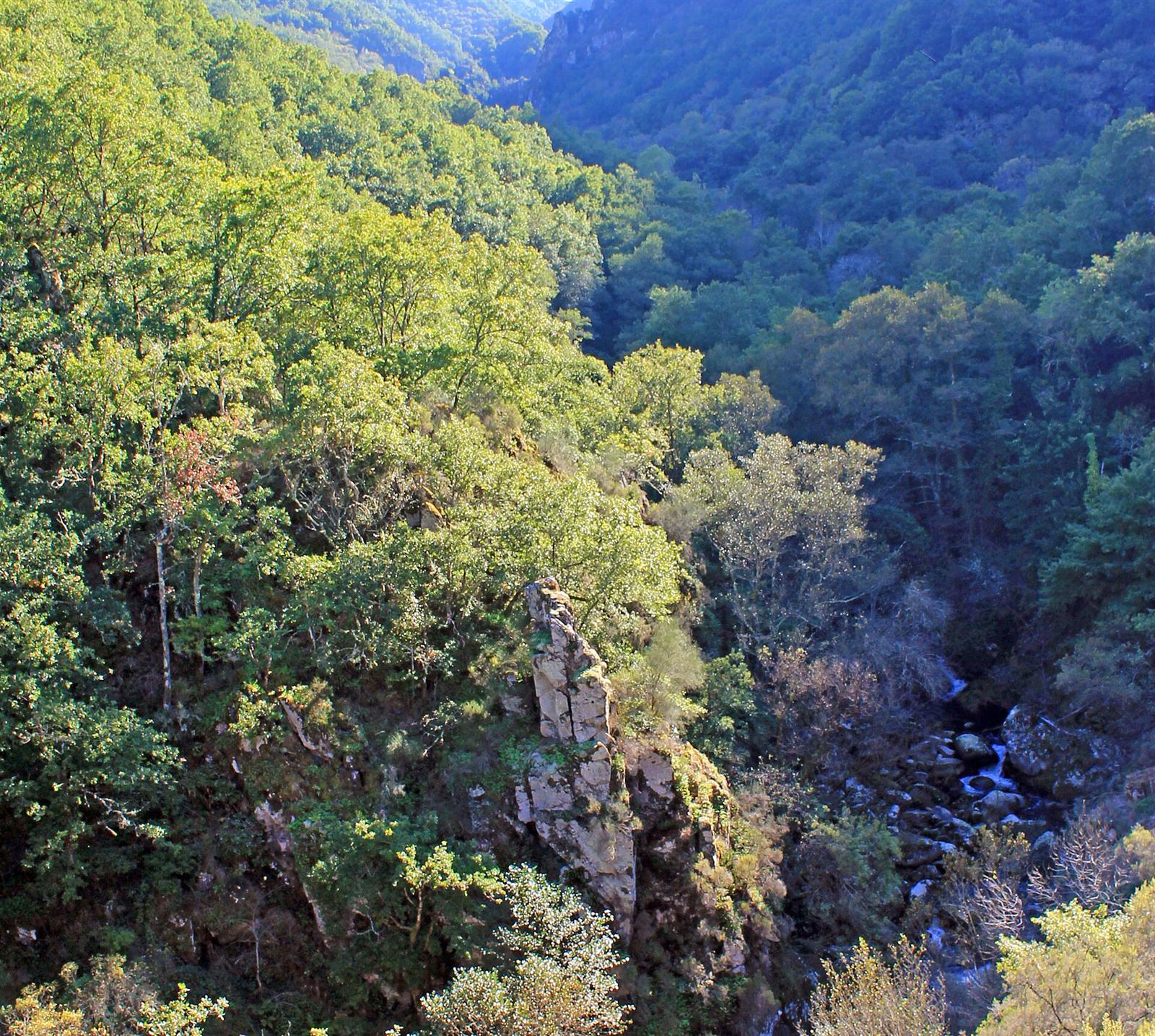 El cañón del río Mao entre la vegetación, con el cauce visible al fondo