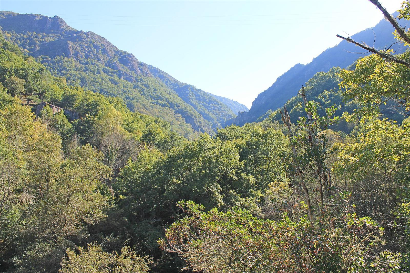 El valle boscoso del cañón del Mao