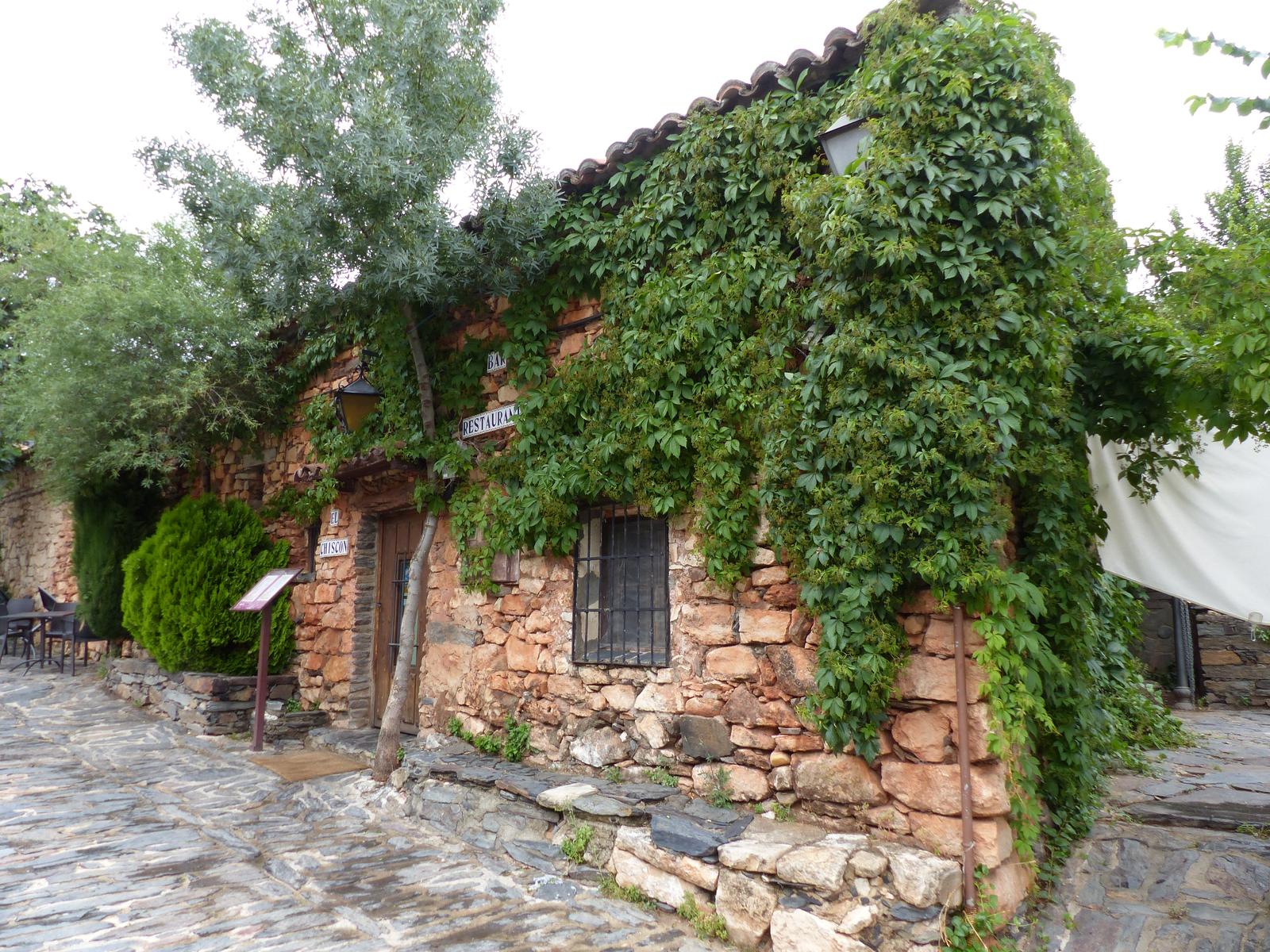 Fachada de piedra cubierta de vegetación en una calle del pueblo