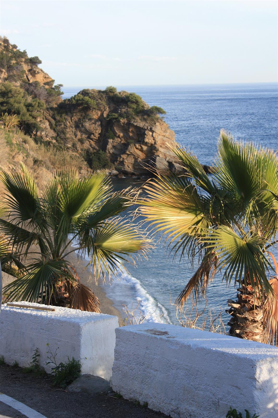 Acceso a la Playa de Maro con palmeras, muro encalado y vistas al mar y los acantilados de fondo