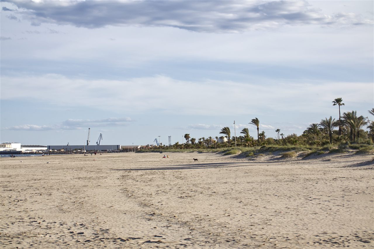 Arena y orilla de la Playa del Pinar, Castellón